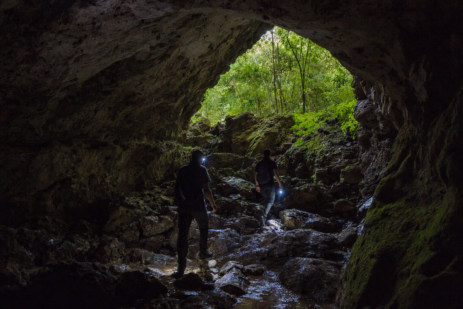 Editorial cave preparation scene for Alutila